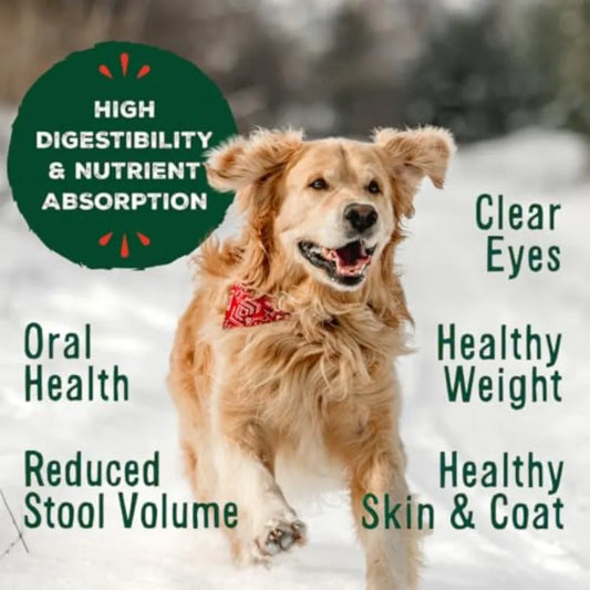 Primal Freeze Dried Raw Dog Food Nuggets Beef Complete and Balanced Meal Also Use as Topper or Treat Premium Healthy Grain Free