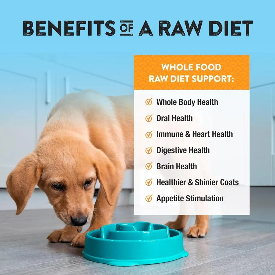 Freeze-Dried Turkey Dog Food - Bite-Sized Nuggets - Grain-Free High-Protein Raw Diet Human-Grade Limited Ingredients All Natura