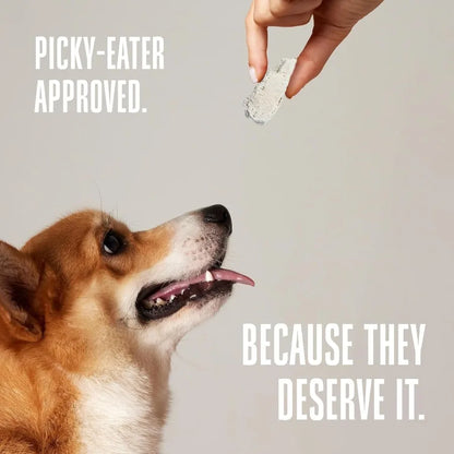 Whole Life Dog Just One Chicken Freeze Dried Dog Treats - Human Grade High Protein Food Healthy Training Snacks Freeze Dried Fo