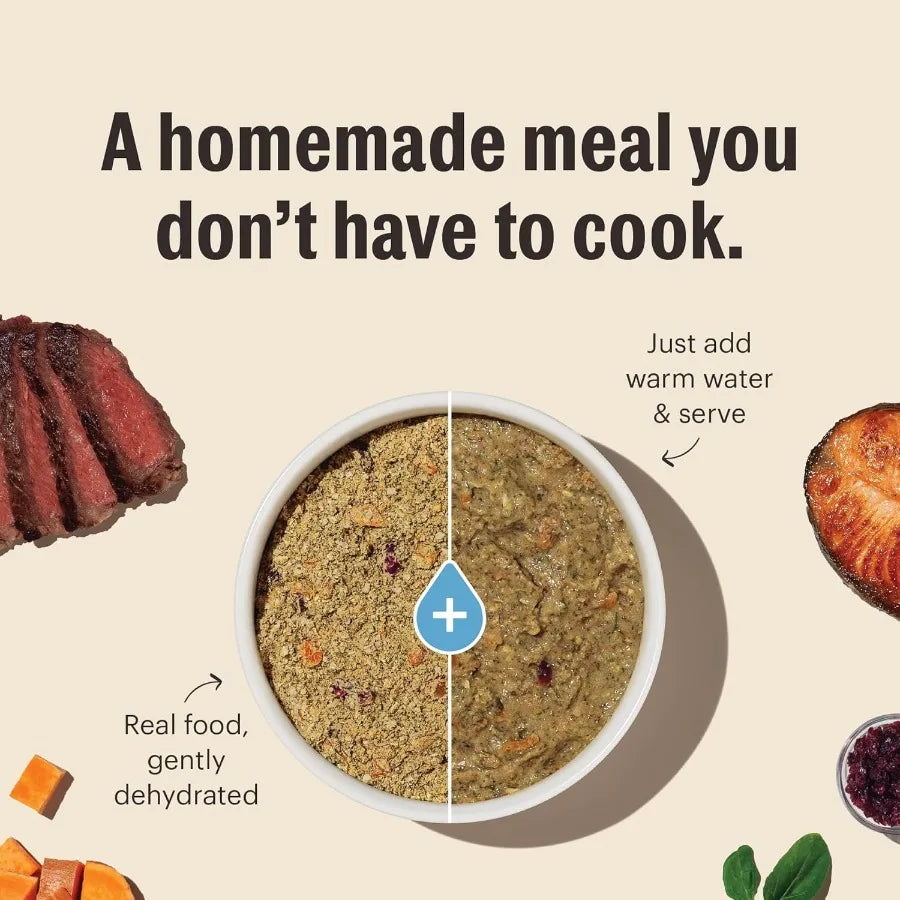 Wholemade Whole Grain Turkey White Fish Dog Food 10 lb Box