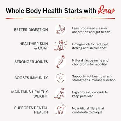 Freeze Dried Raw Meal Mixers Crafted for Puppies Grain Free Protein Rich Perfectly Puppy Beef and Salmon Recipe 18 oz Bag