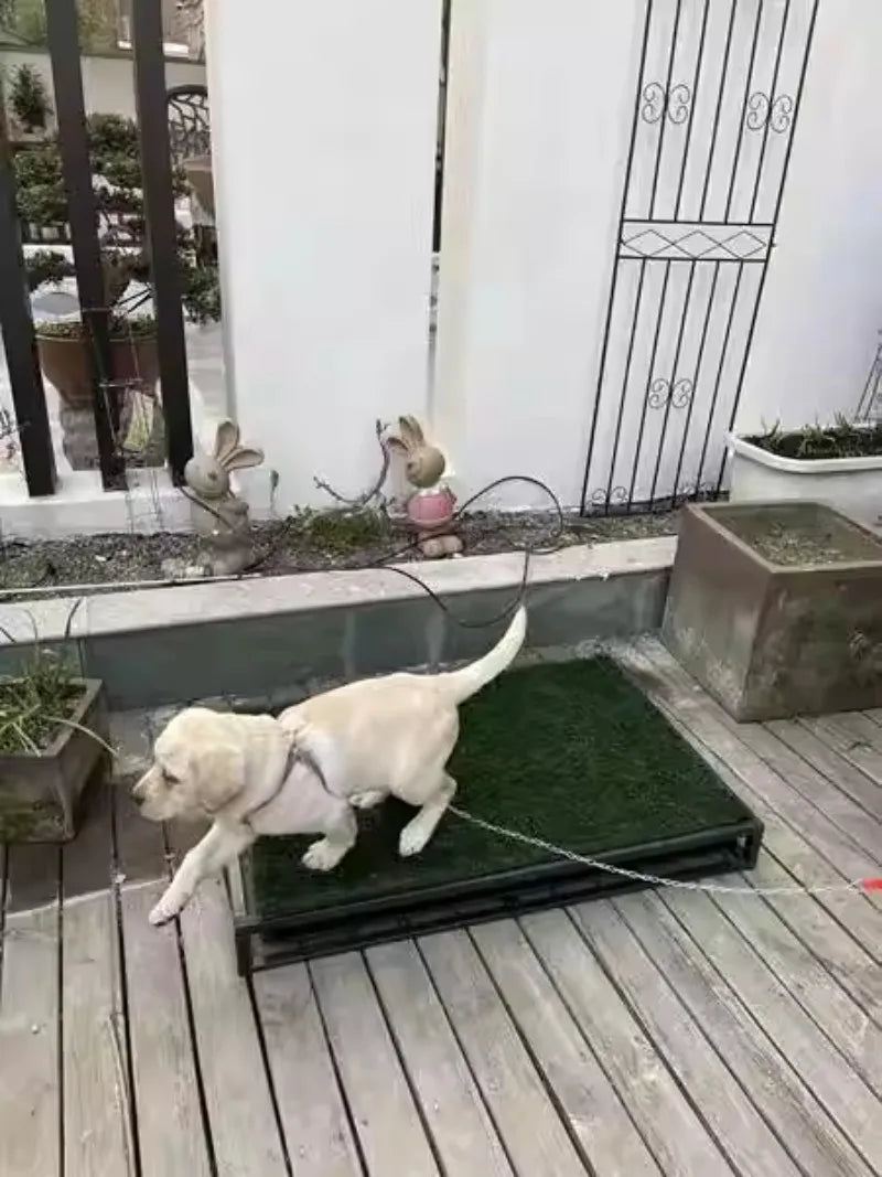 Pet Artificial Grass Urine Pad Dog Training Pee Mat with Drawer Easy Clean Drainage Hole Pet Indoor Outdoor Cleaning Accessories