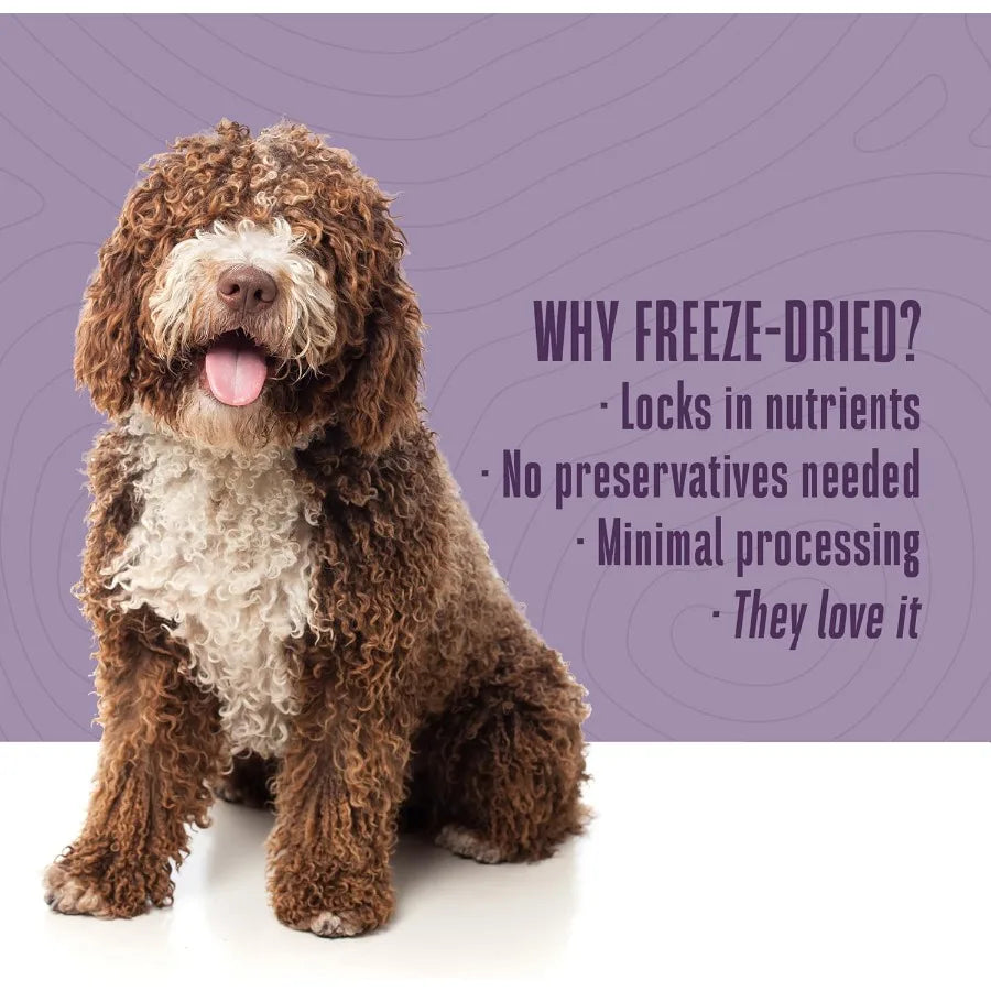 Whole Life Dog Just One Chicken Freeze Dried Dog Treats - Human Grade High Protein Food Healthy Training Snacks Freeze Dried Fo