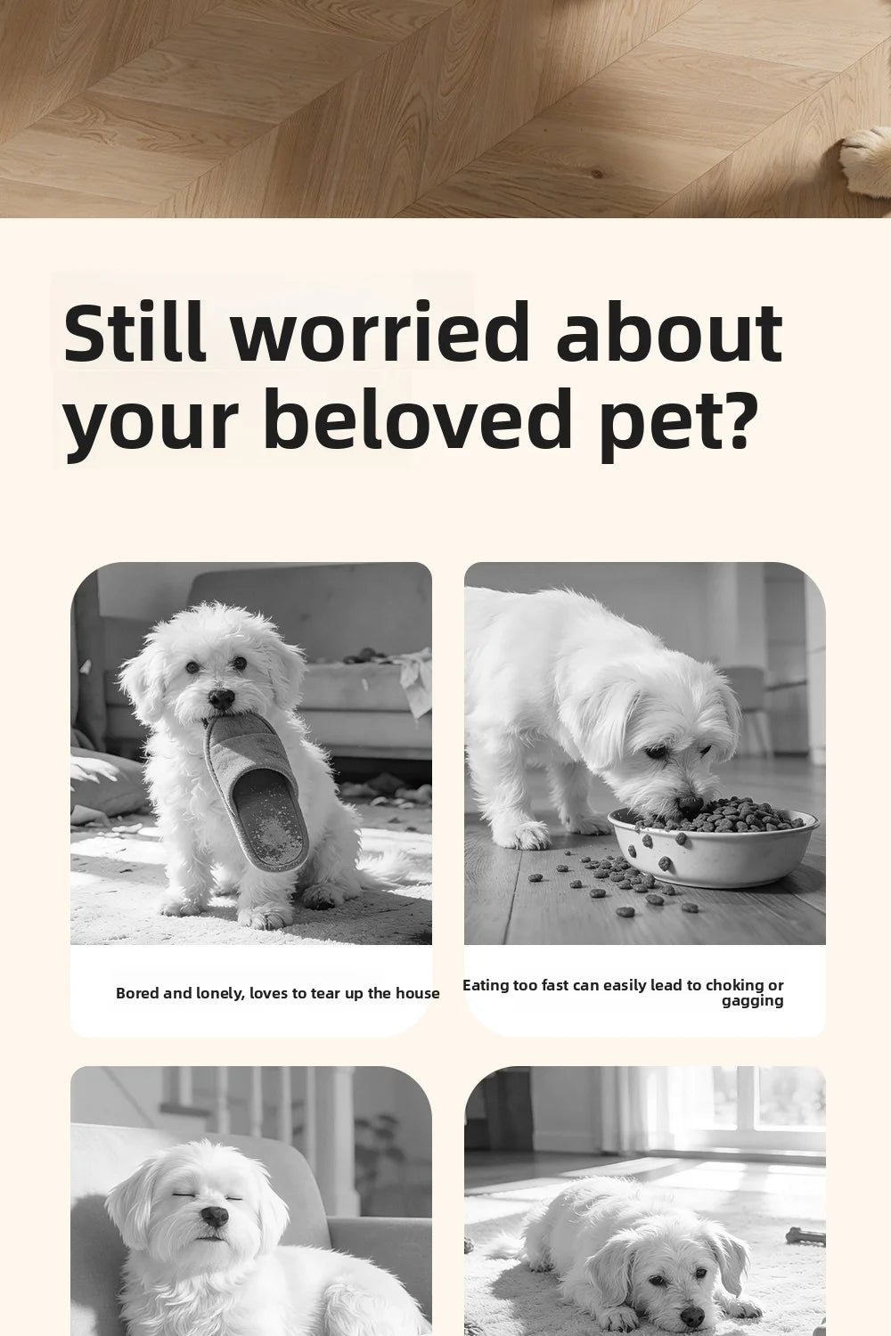 Pet Puzzle Feeder Toy: Interactive treat dispenser designed for IQ training, perfect for small to medium dogs, new arrival.