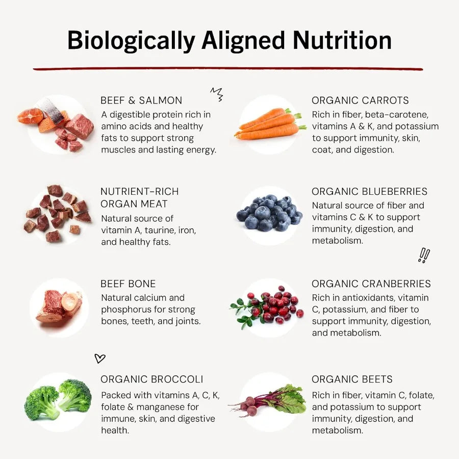 Freeze Dried Raw Meal Mixers Crafted for Puppies Grain Free Protein Rich Perfectly Puppy Beef and Salmon Recipe 18 oz Bag