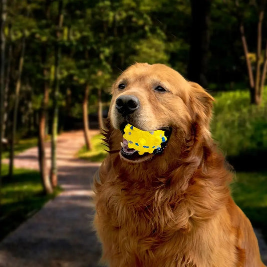 Pet Teeth Cleaning Bite Resistant Pet Ball High Elasticity Durable Dogs Bouncing Ball Creative Non-slip Dog Training Gift